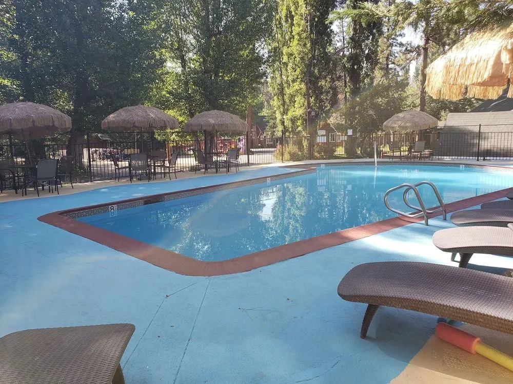 Grey Squirrel Resort