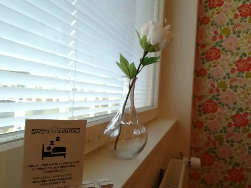 Savonlinna Rentals