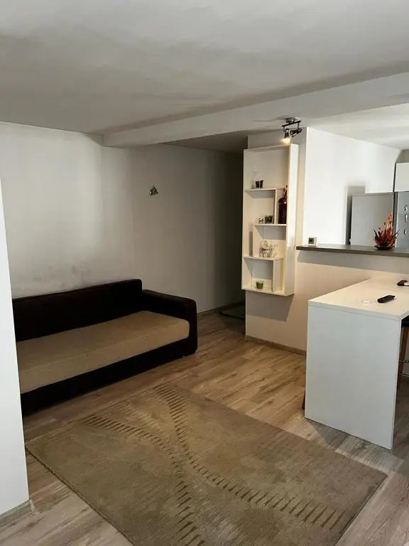Apartament 3 Central