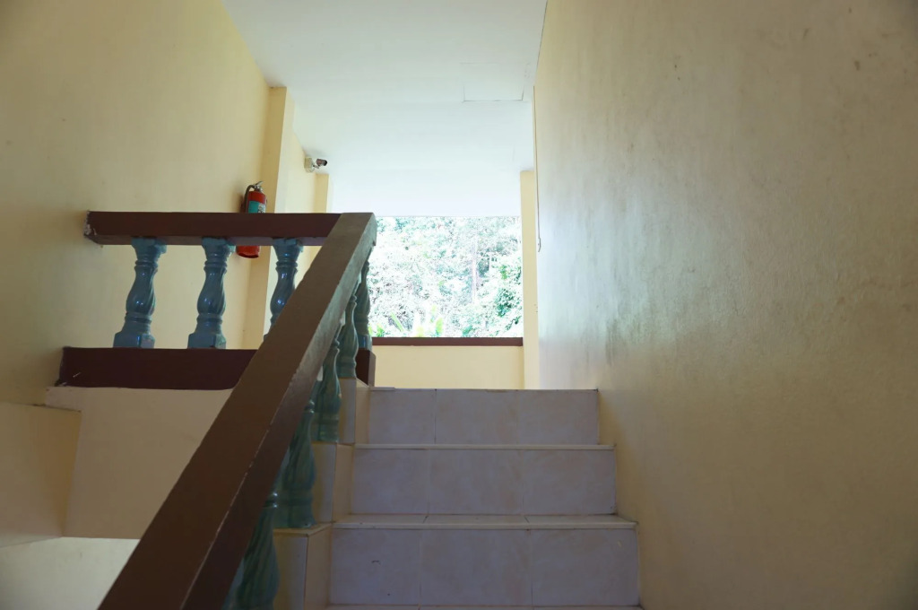 Palmy Home
