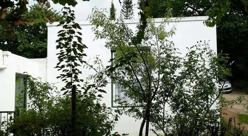 Winterson en Somerkoelte