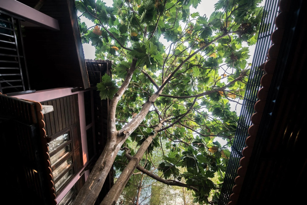 Lavender Angkor Boutique