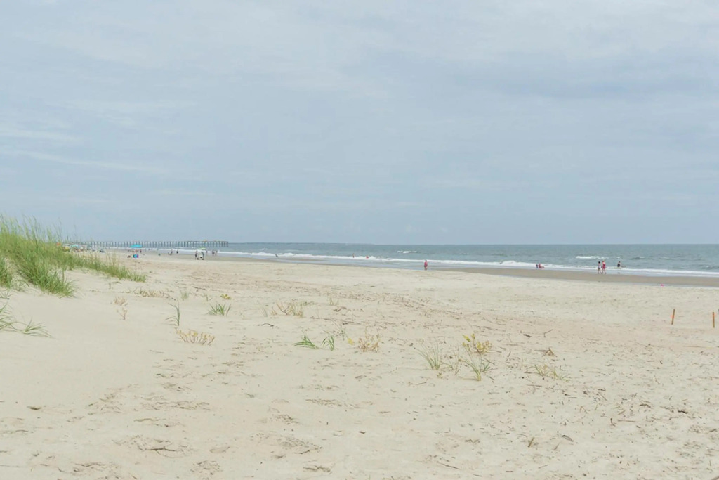 Turtle Soup by Oak Island Accommodations