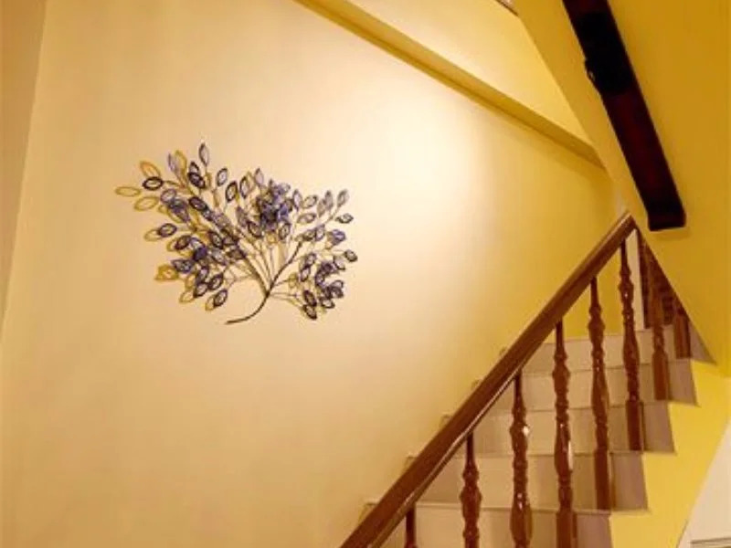 Starburst B&B