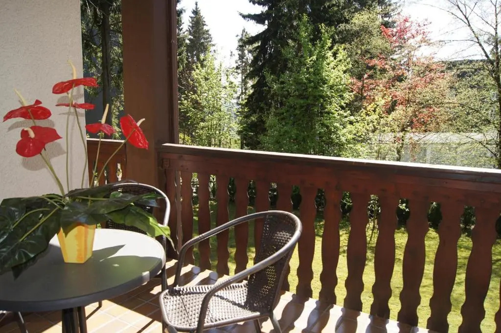 Winterberg Appartement 21056