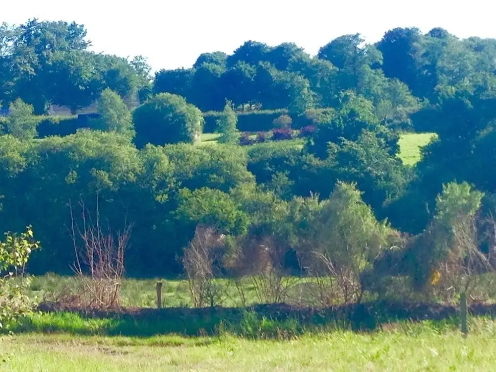 Green Tree Glamping