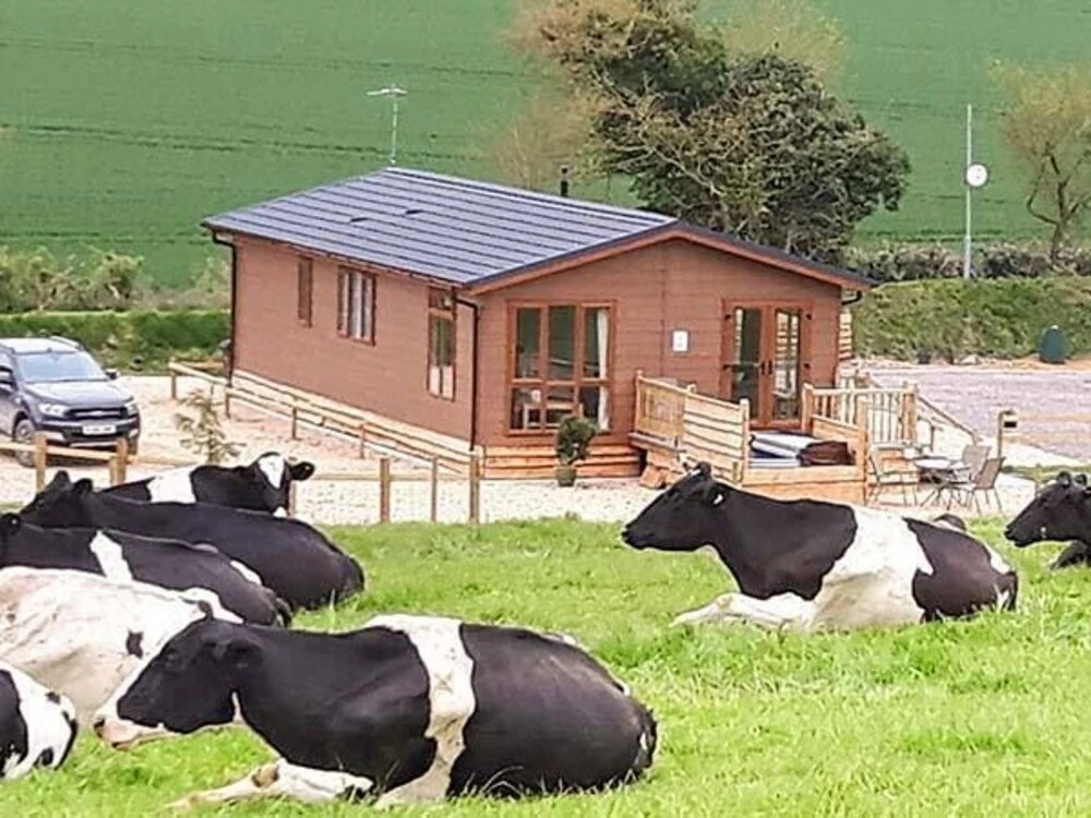 Whitey Top Lodge