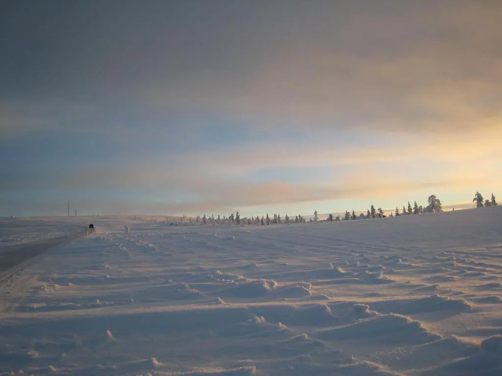 Saariselän Marjamajat