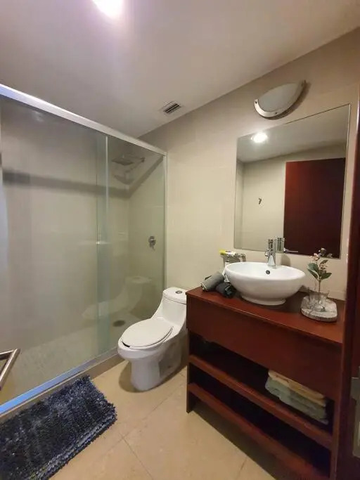 Argento Apartment in New Polanco