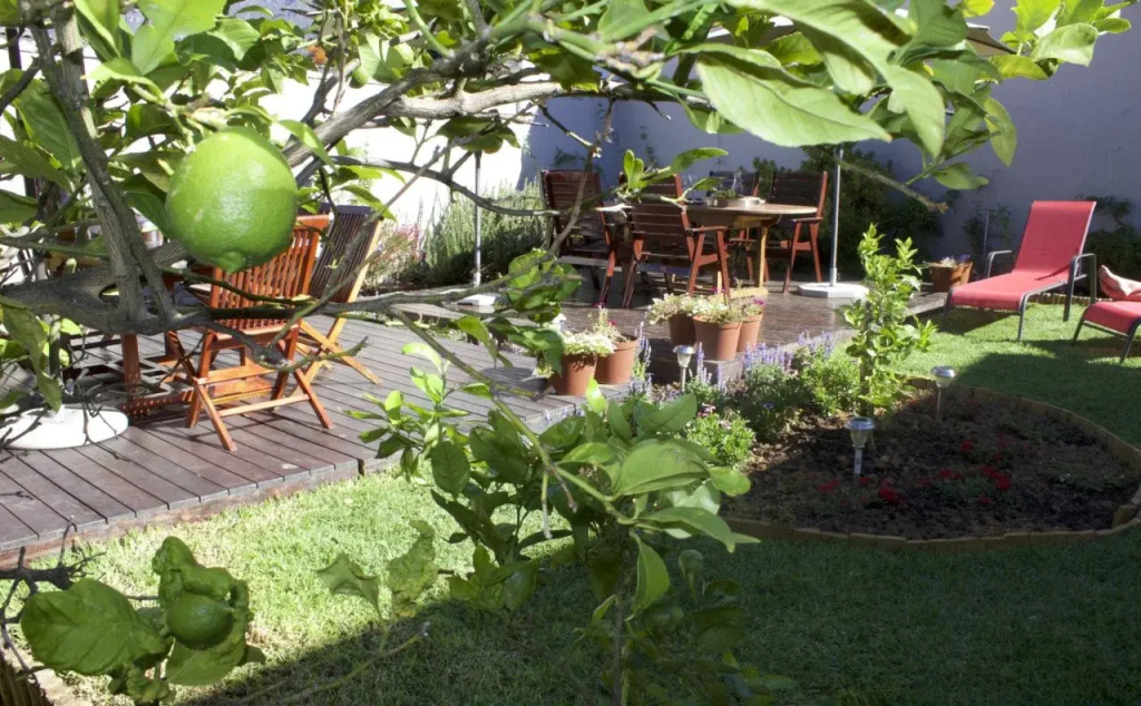 The Lions Guesthouse