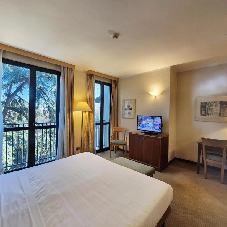 Hotel Excelsior Magenta