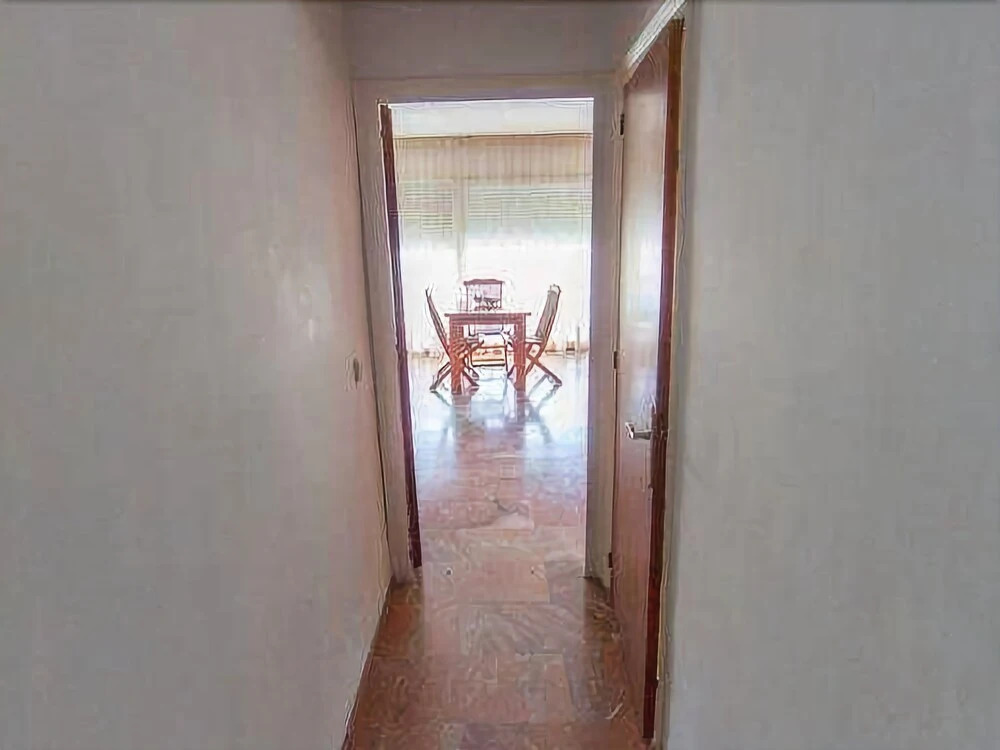 Palmeras 5.2