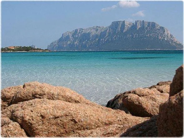 Bed & Breakfast Nettuno