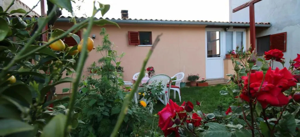 Apartment Matej