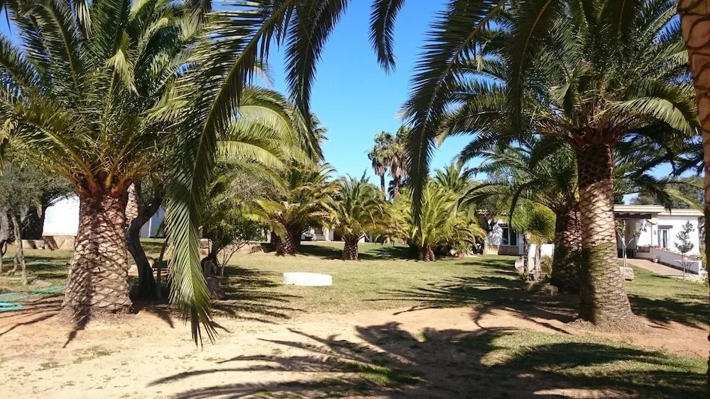 El Olivar de Roche Viejo