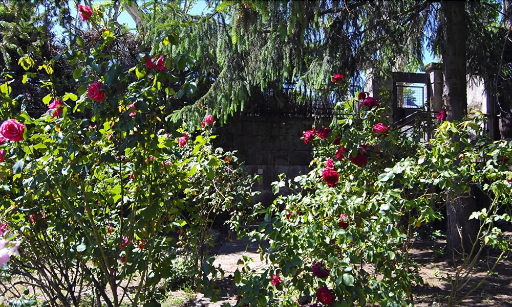 Casa El Árbol del Lilo