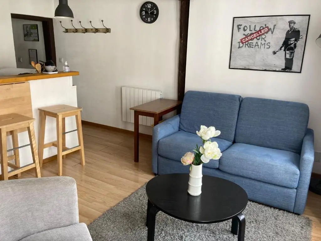 T3 duplex hyper centre ville historique troyes