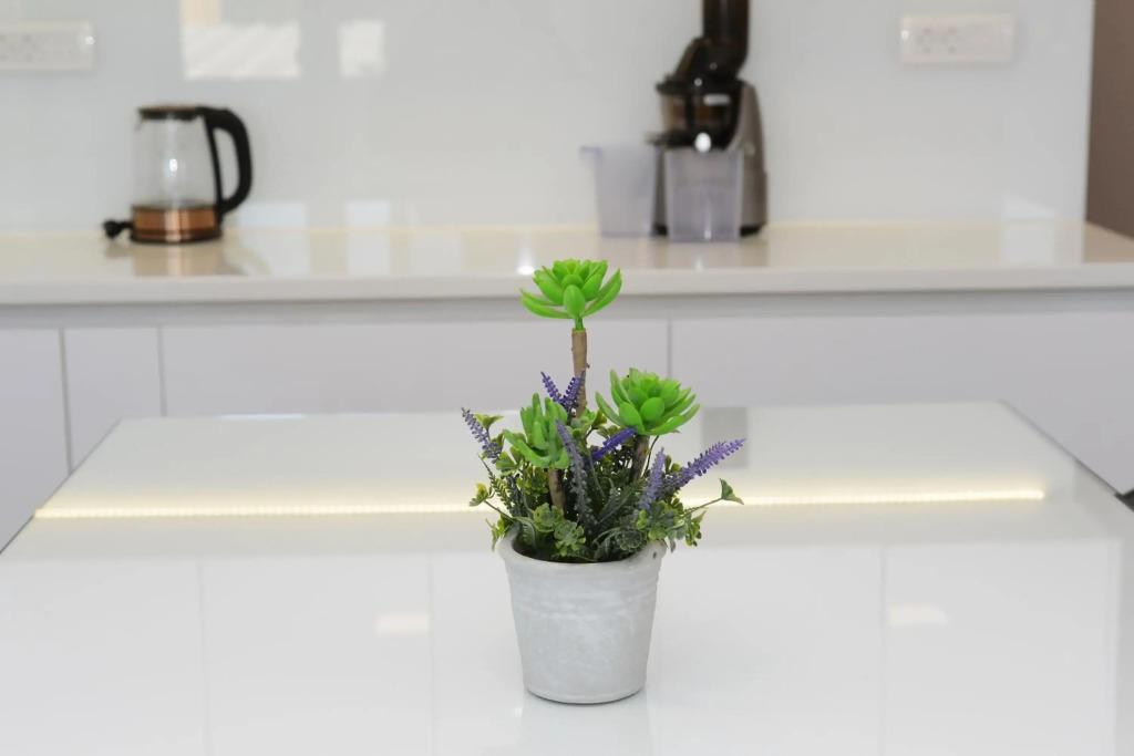 Apartman Milena