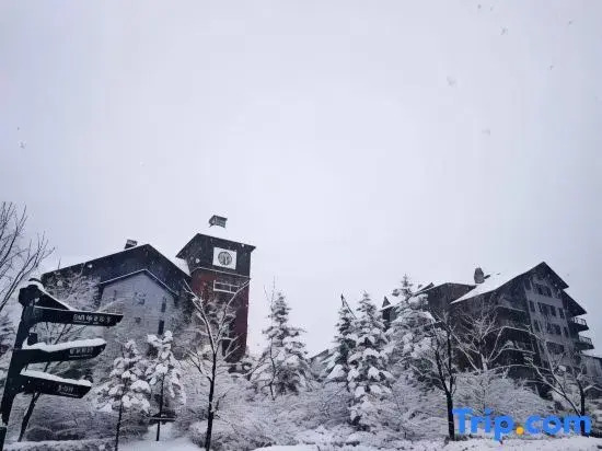 Vanke Songhua Lake Qingshan Cooked Snow Homestay