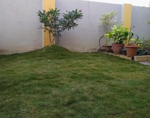 Individual Bungalow In Peaceful Surroundings