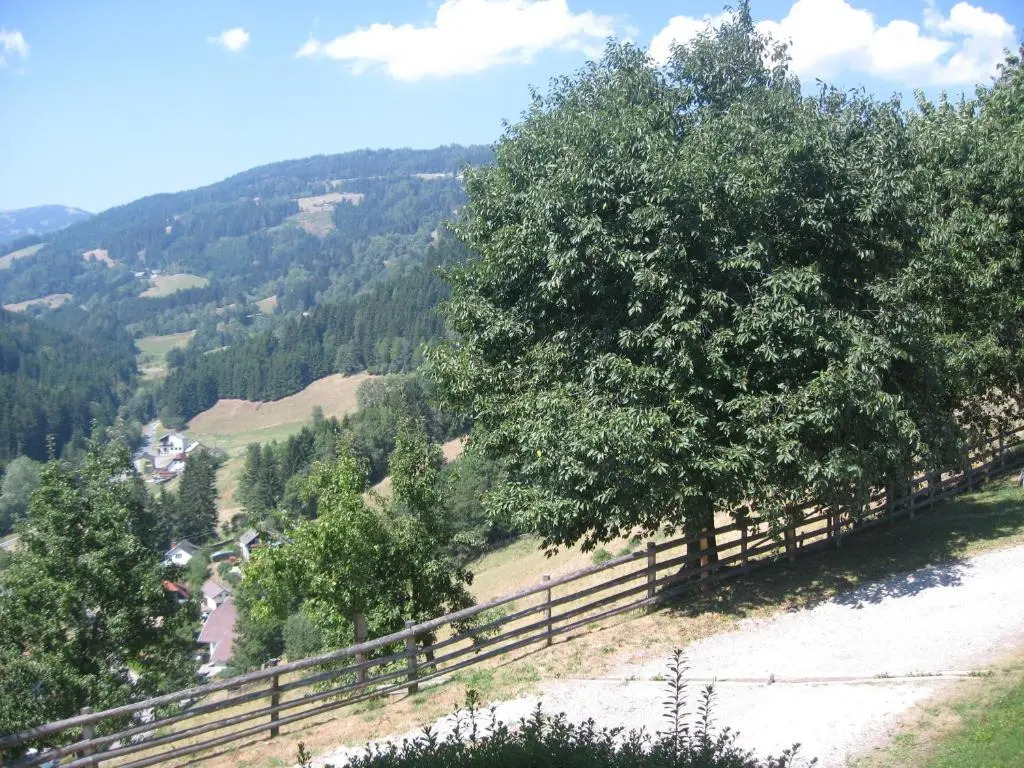 Gerstbreinhof