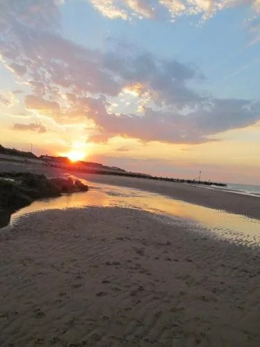 Seals Bacton