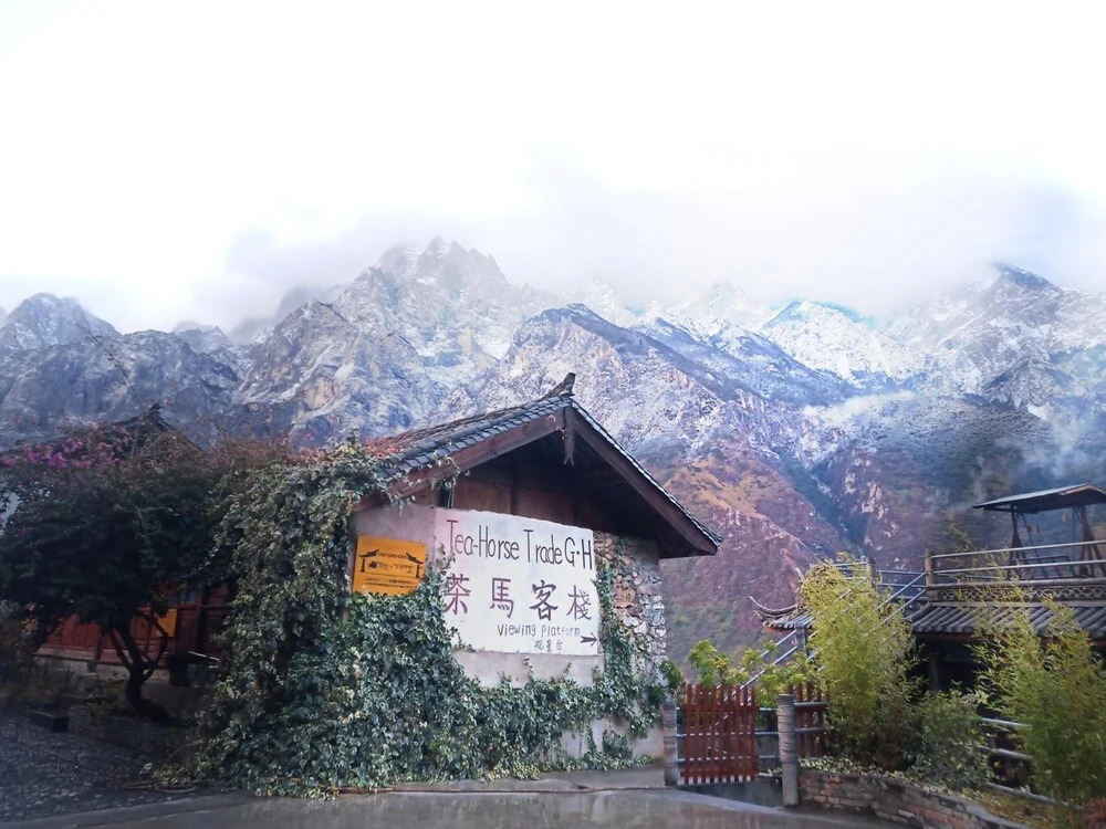 Tiger leaping gorge tea horse gasthaus