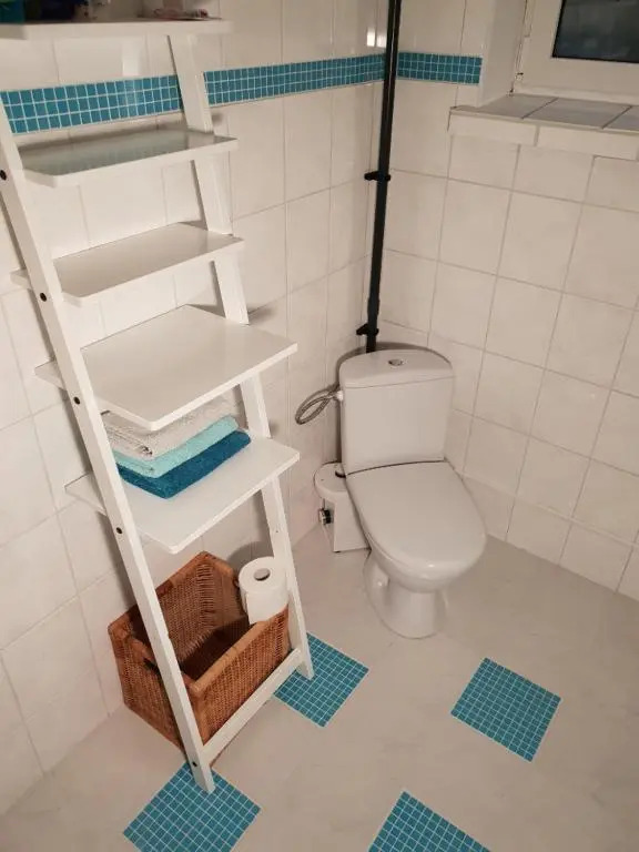 Schönste Lage am Rhein in unmittelbarer Stadtnähe, B & B