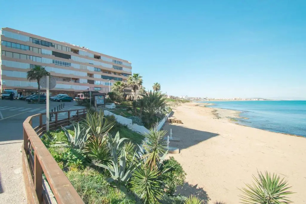 074 Tropical Paradise - Alicante Holiday