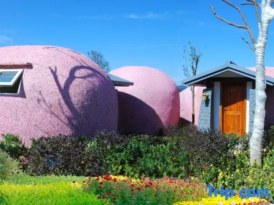 Yongtai Gening Ant Nest Egg Homestay