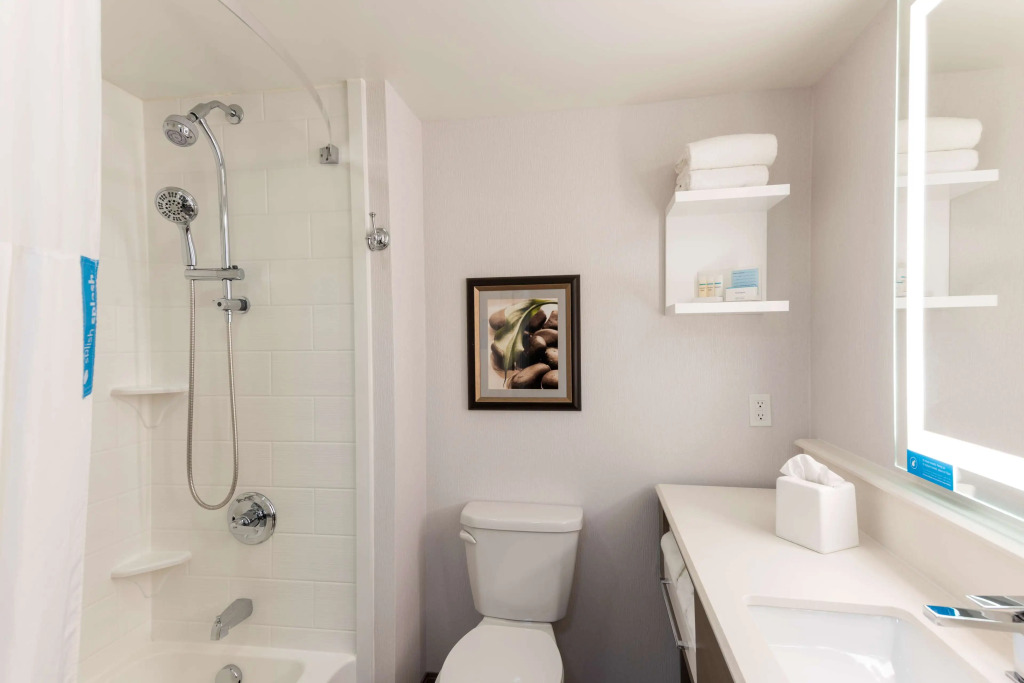 Hampton Inn Holland