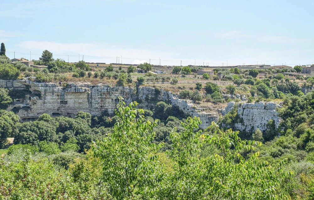 Ulivo
