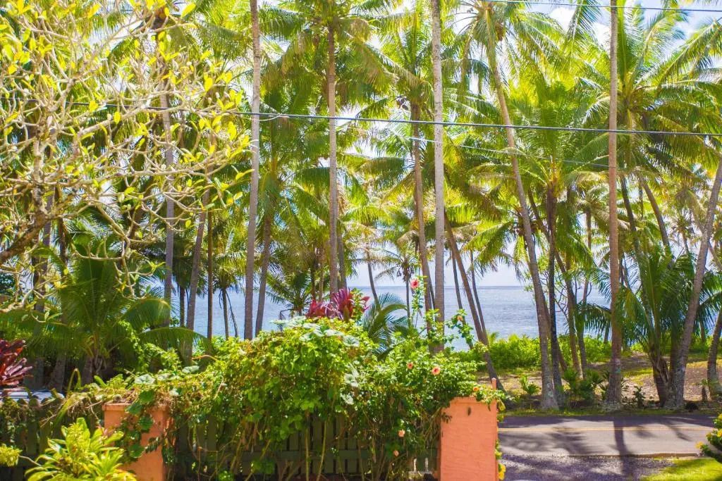 The Dolphin Cottage at Kehena Beach