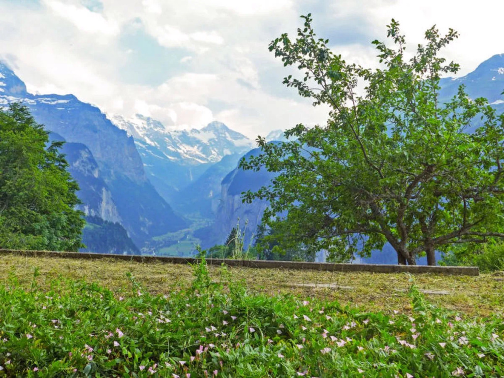 Chalet Helene Wengen 22724