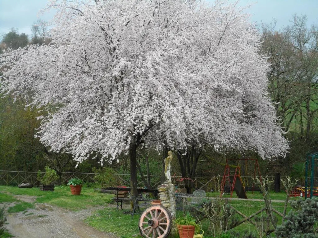 Locanda Delle Noci