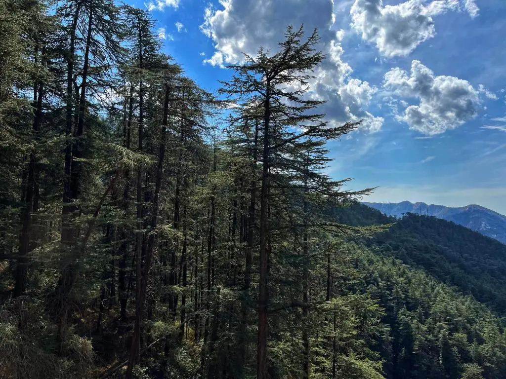 Bellmont Villa Shimla