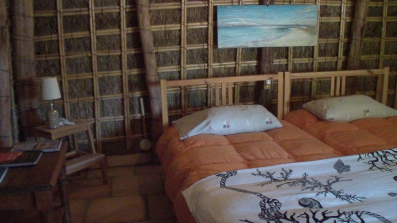 Casas Harry