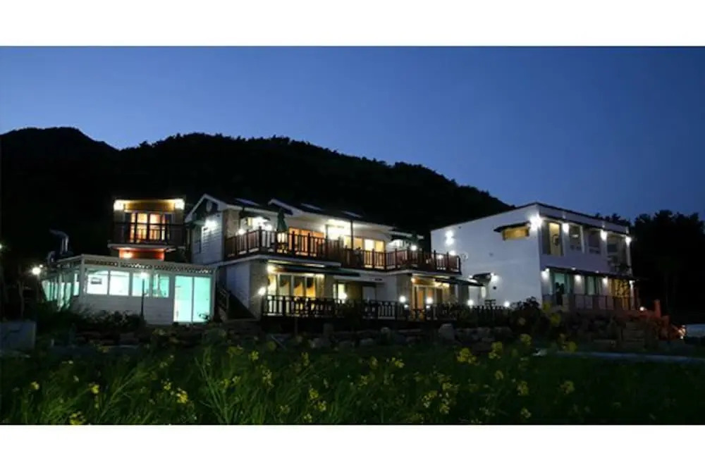 Pygmalion pension