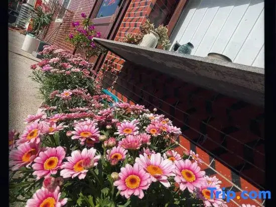 Quanzhou Yujian Qiaonan Homestay