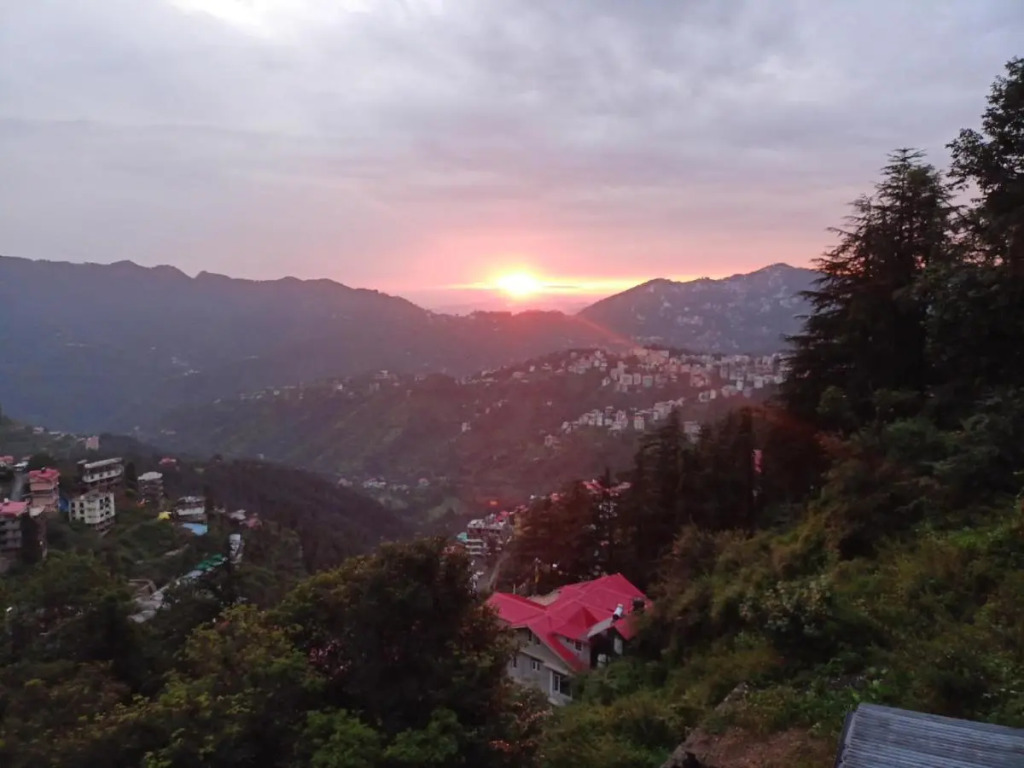 The Grand Madhushala Shimla