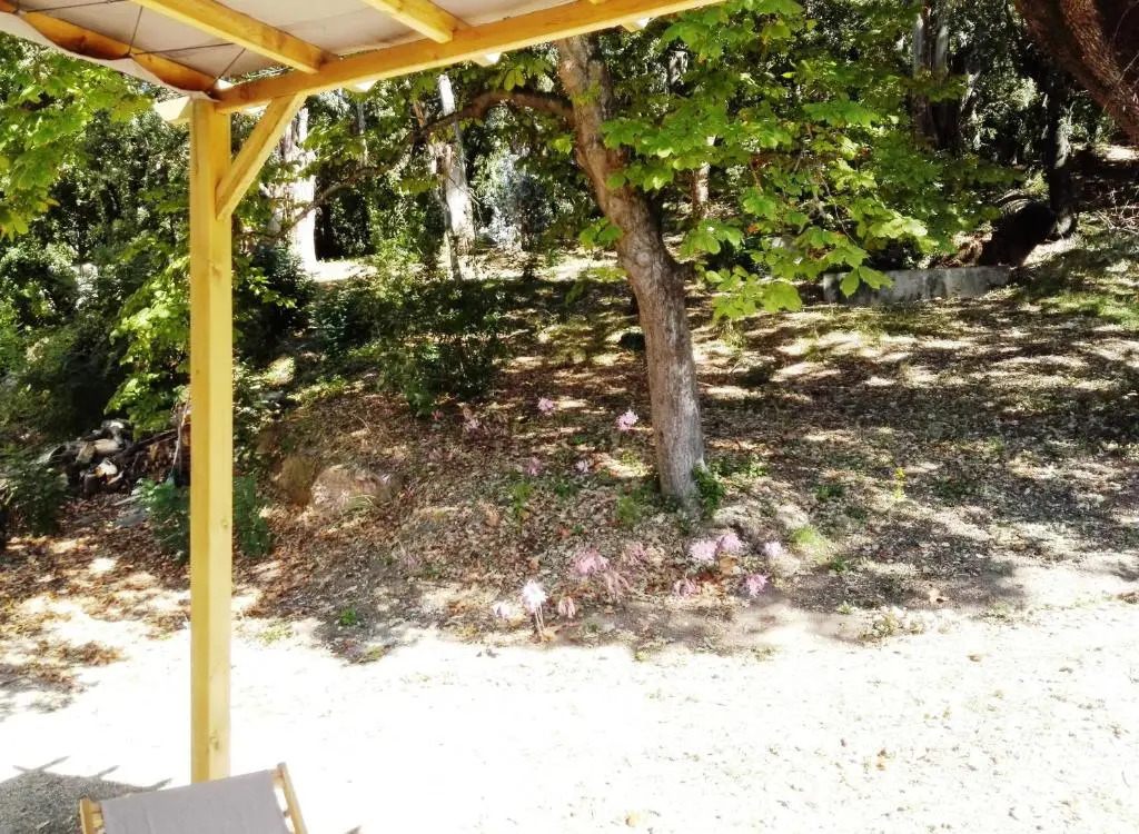 A Musella