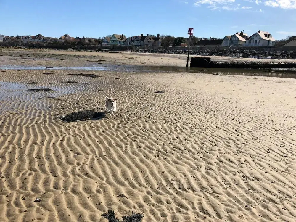 Seashells Dog Friendly Seaview Beach Chalet Sleeps 4 Beach Opposite