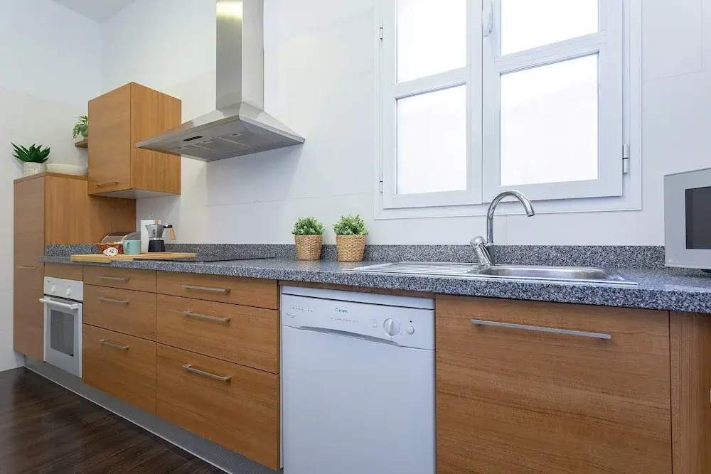 Luxury Apartment in Malaga. Larios VI