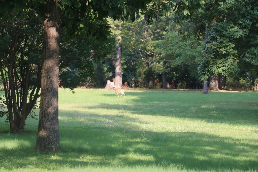 Cedar Grove Inn