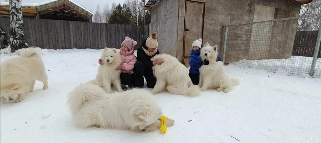 Щукино