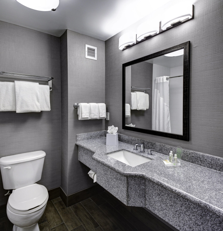 Holiday Inn Savannah Historic District by IHG