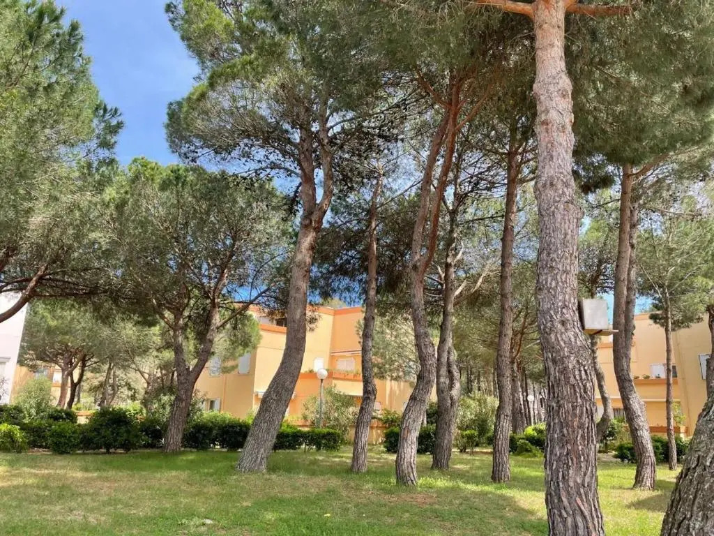 Appartement Argelès-sur-Mer, 1 pièce, 2 personnes - FR-1-225-449