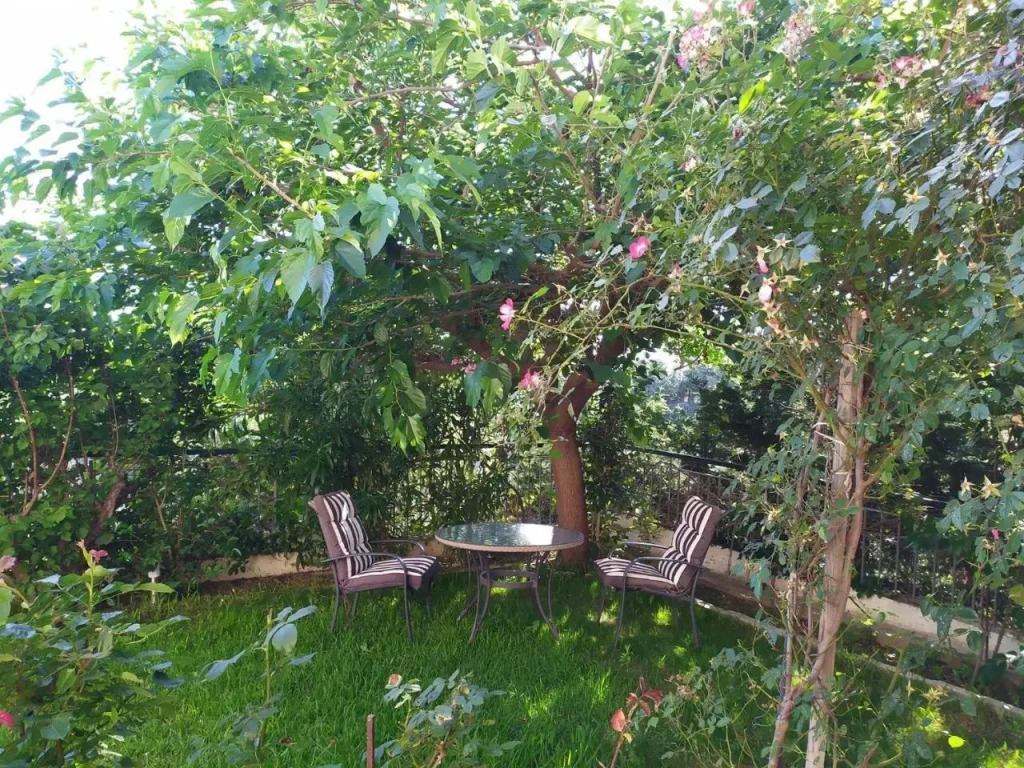 HOUSE WITH GARDEN Netflix