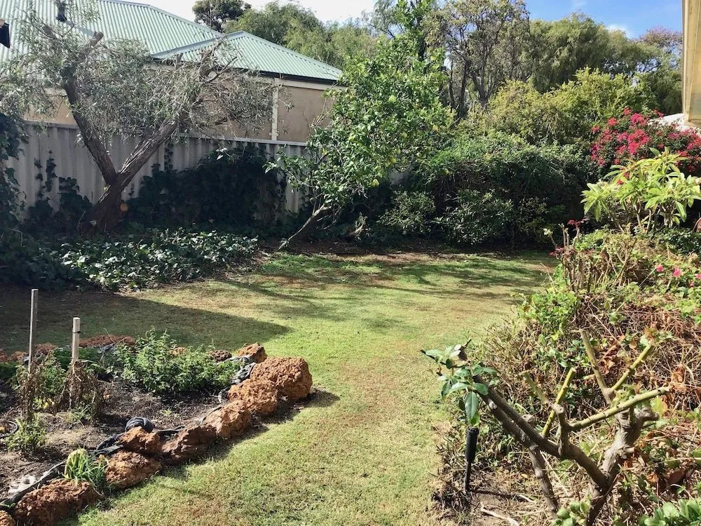 Hakea Haven
