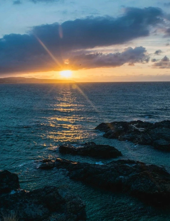 Dog Friendly Holiday Home in Newquay Cornwall